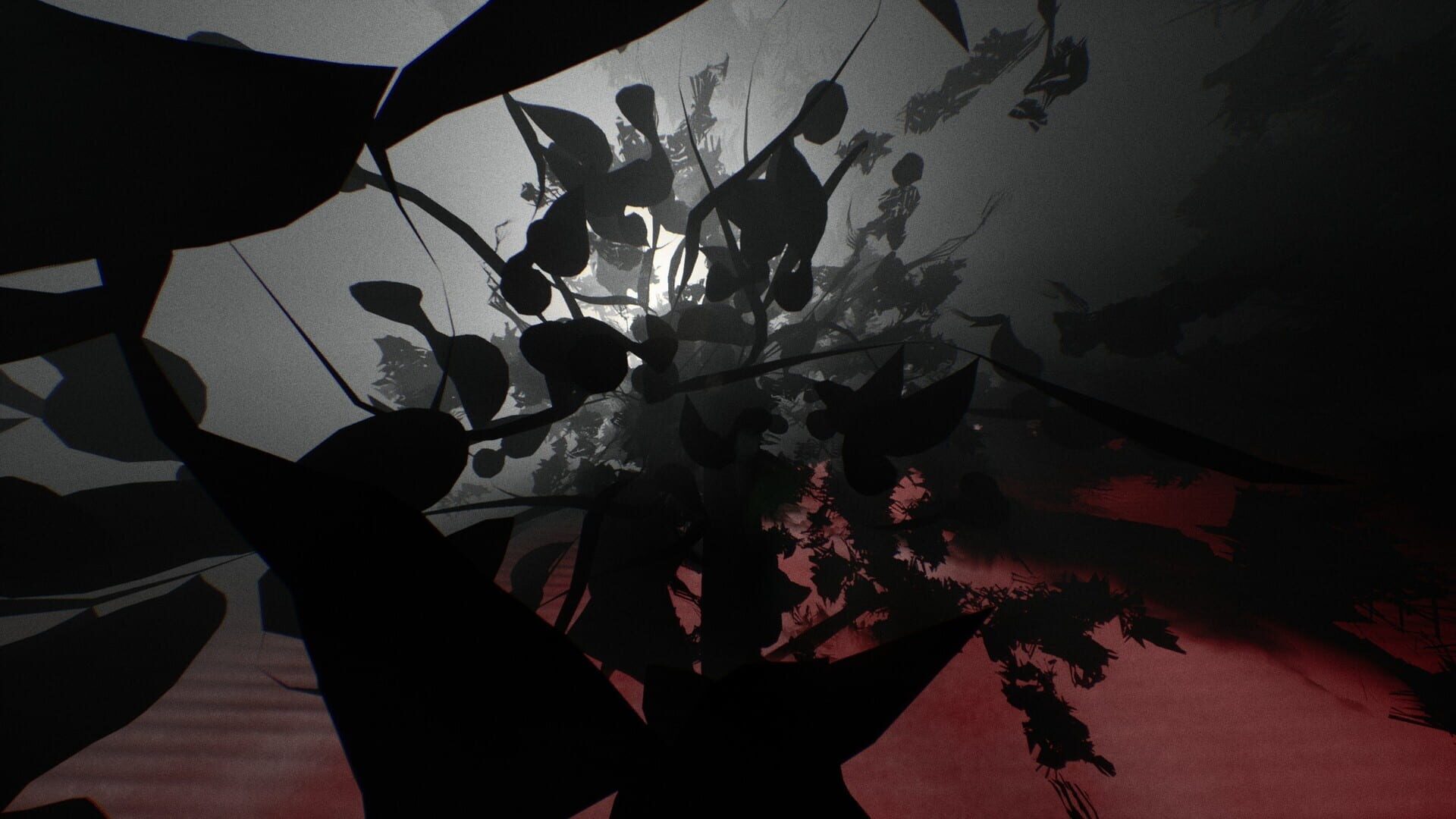 Koma - Screenshot
