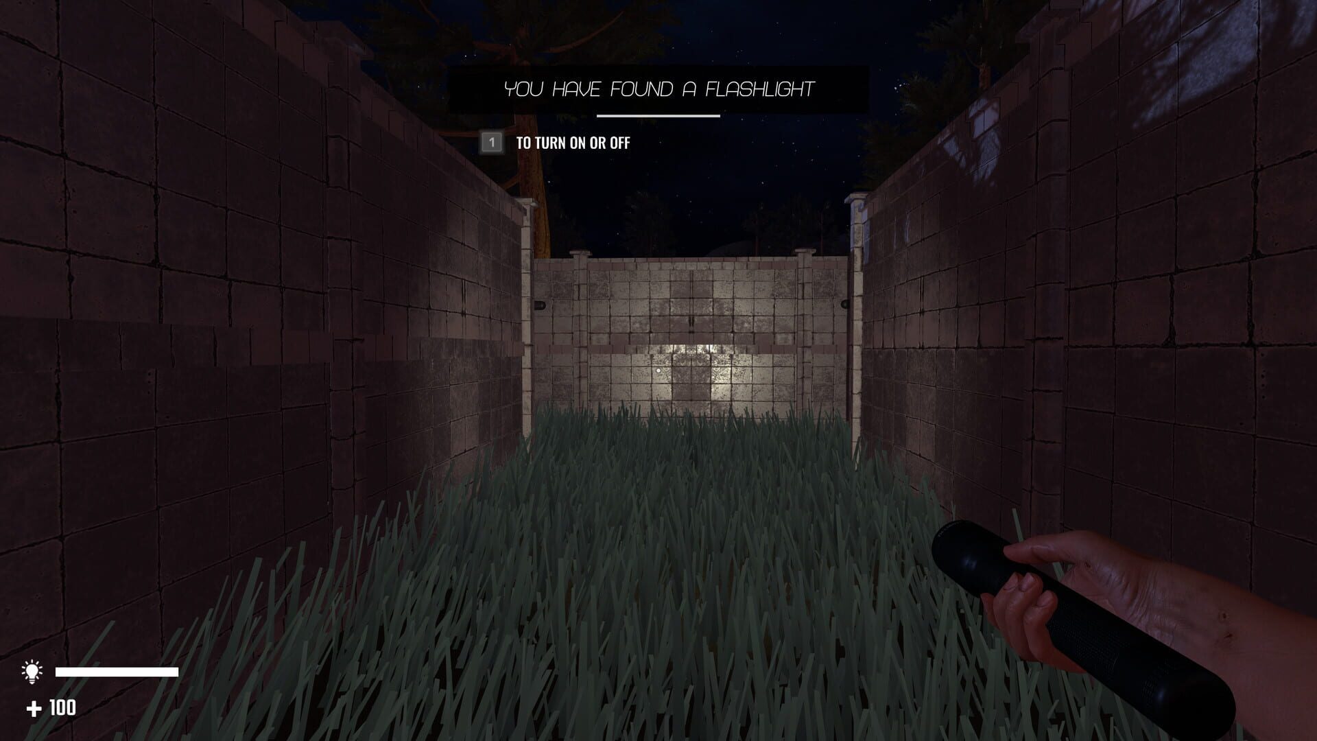 Labyrinthus: Episode 1 - Screenshot