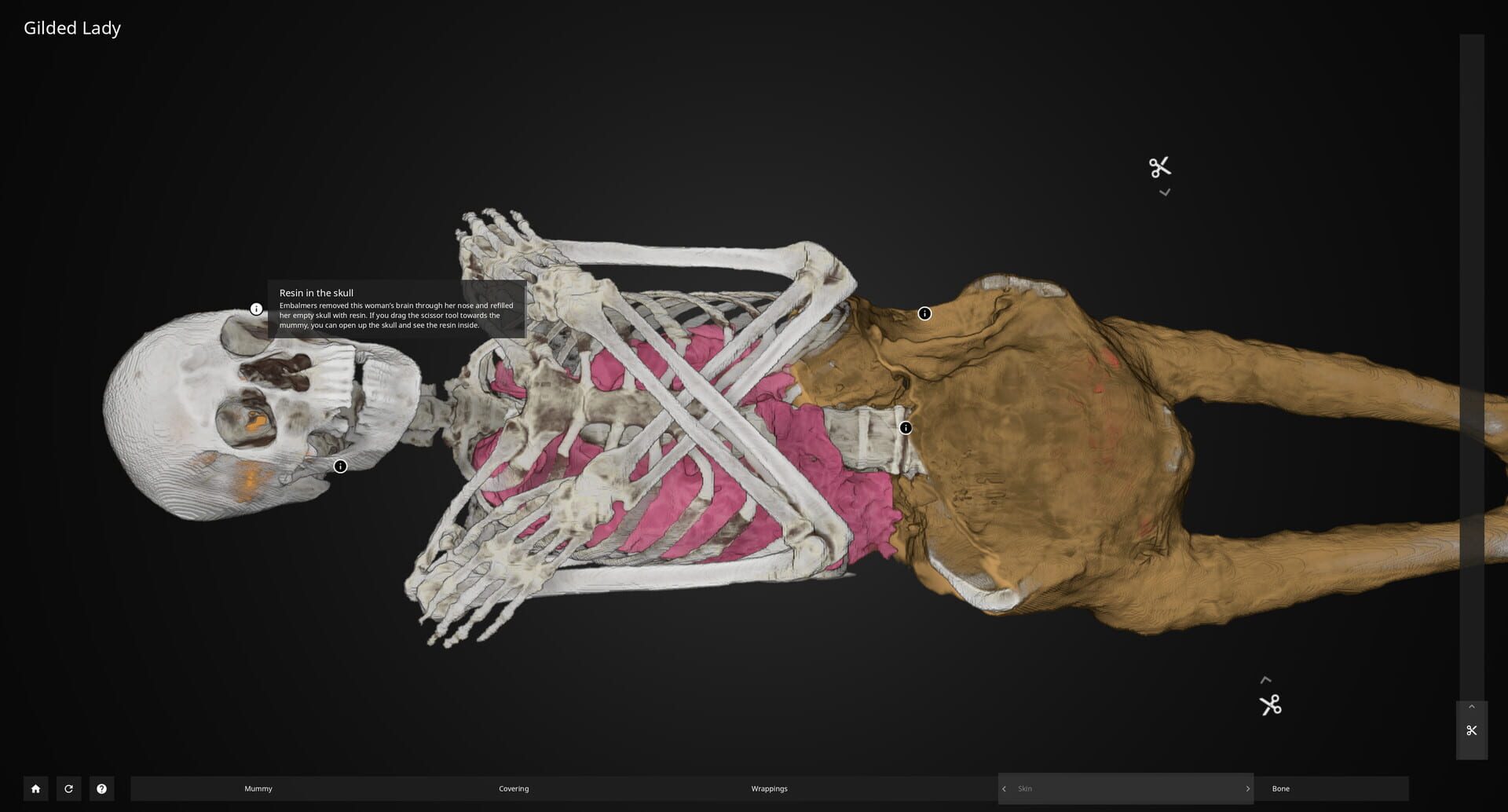 Inside Explorer: The Gilded Lady - Screenshot
