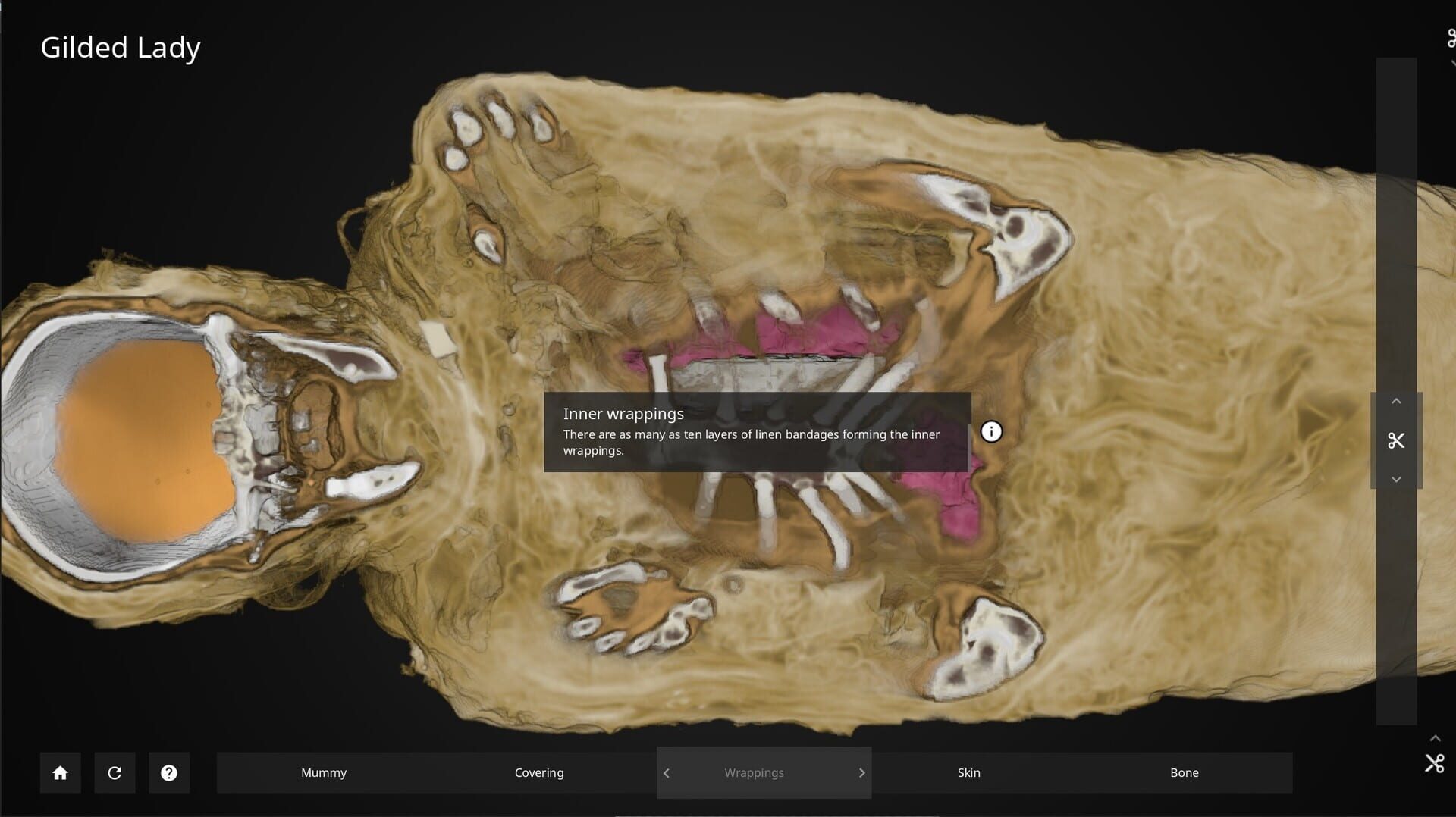 Inside Explorer: The Gilded Lady - Screenshot