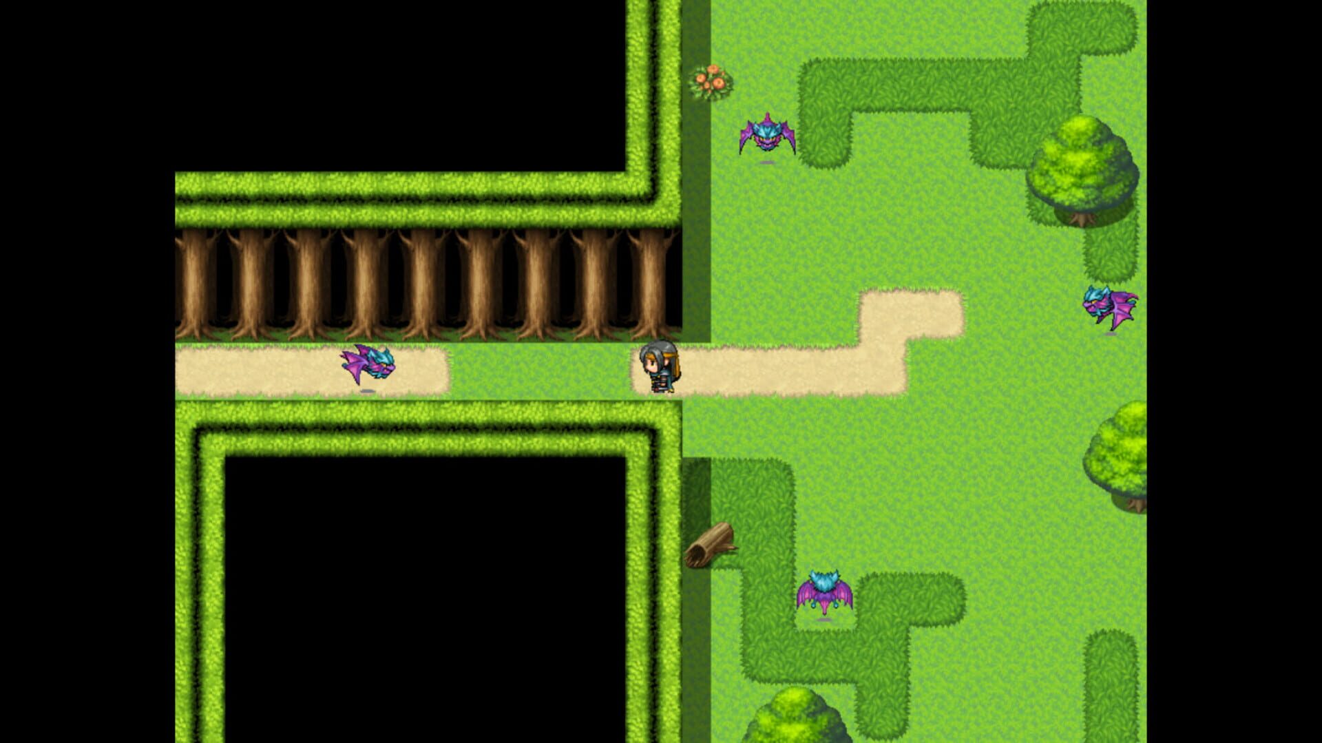 The Seeker - Screenshot