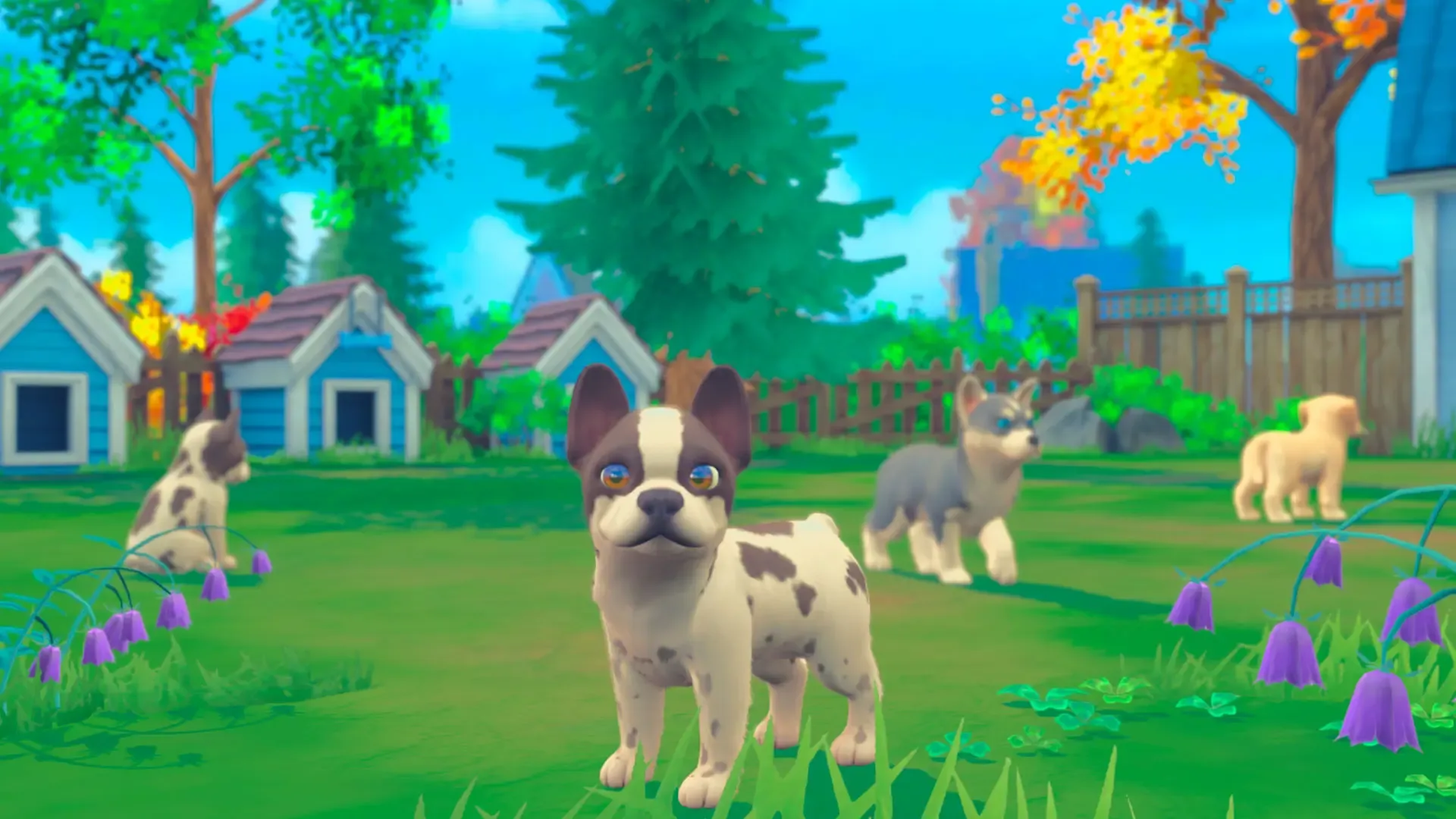 Captura de pantalla - My Universe: Puppies and Kittens