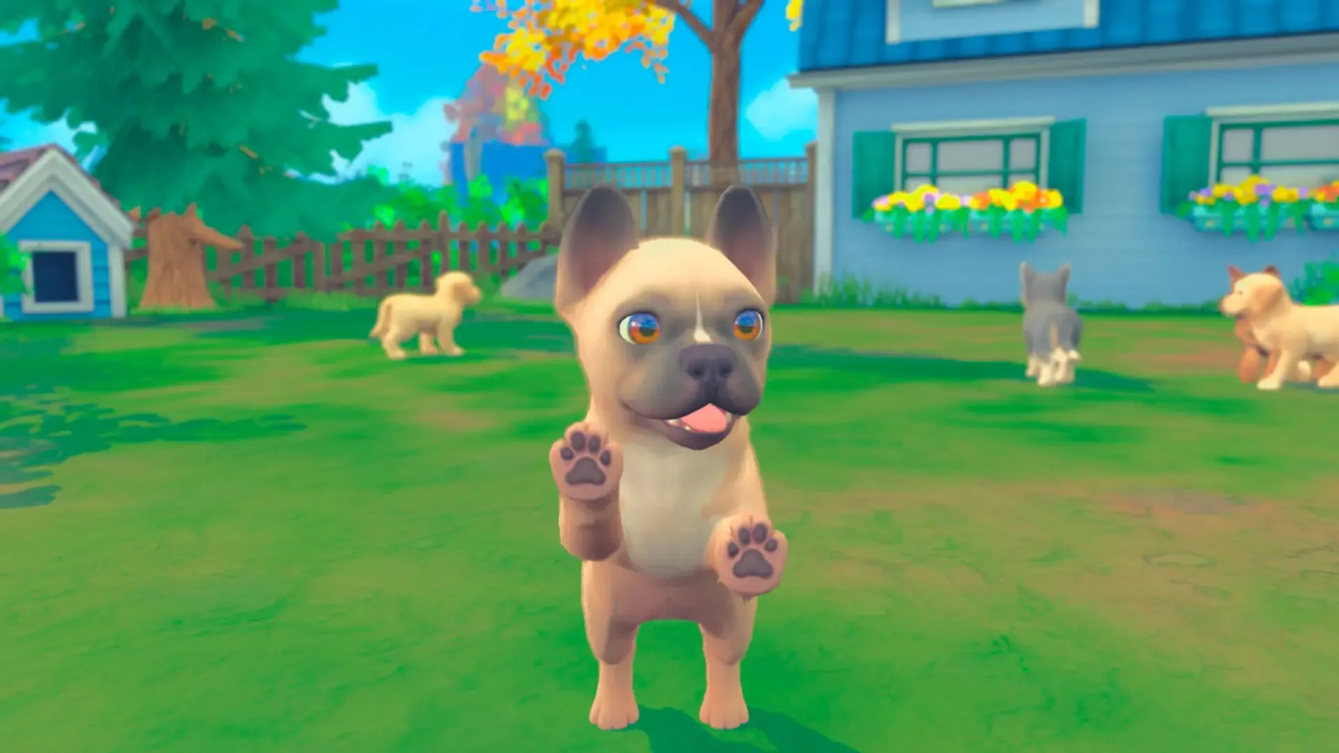 Captura de pantalla - My Universe: Puppies and Kittens