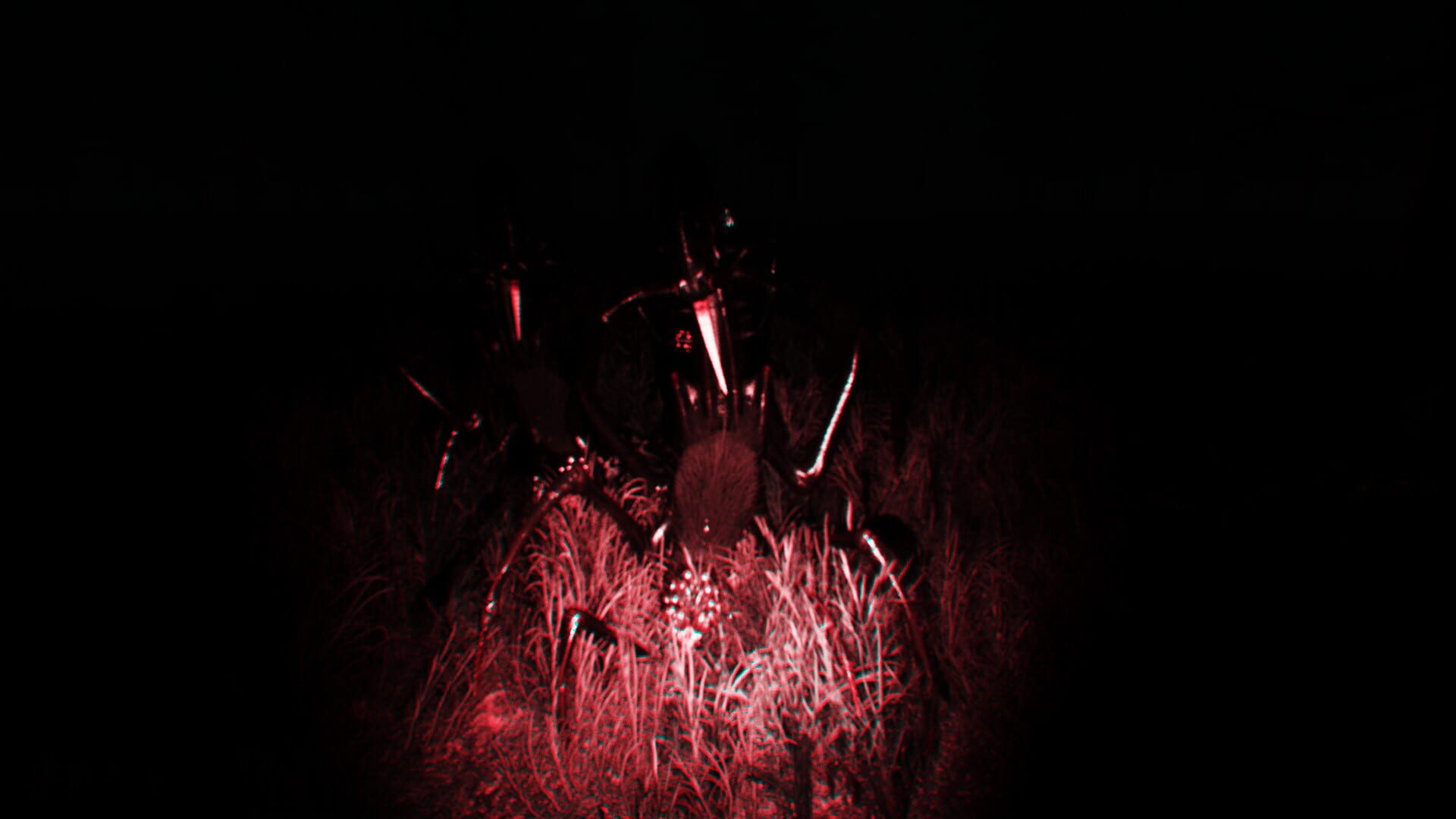 Seekers - Screenshot