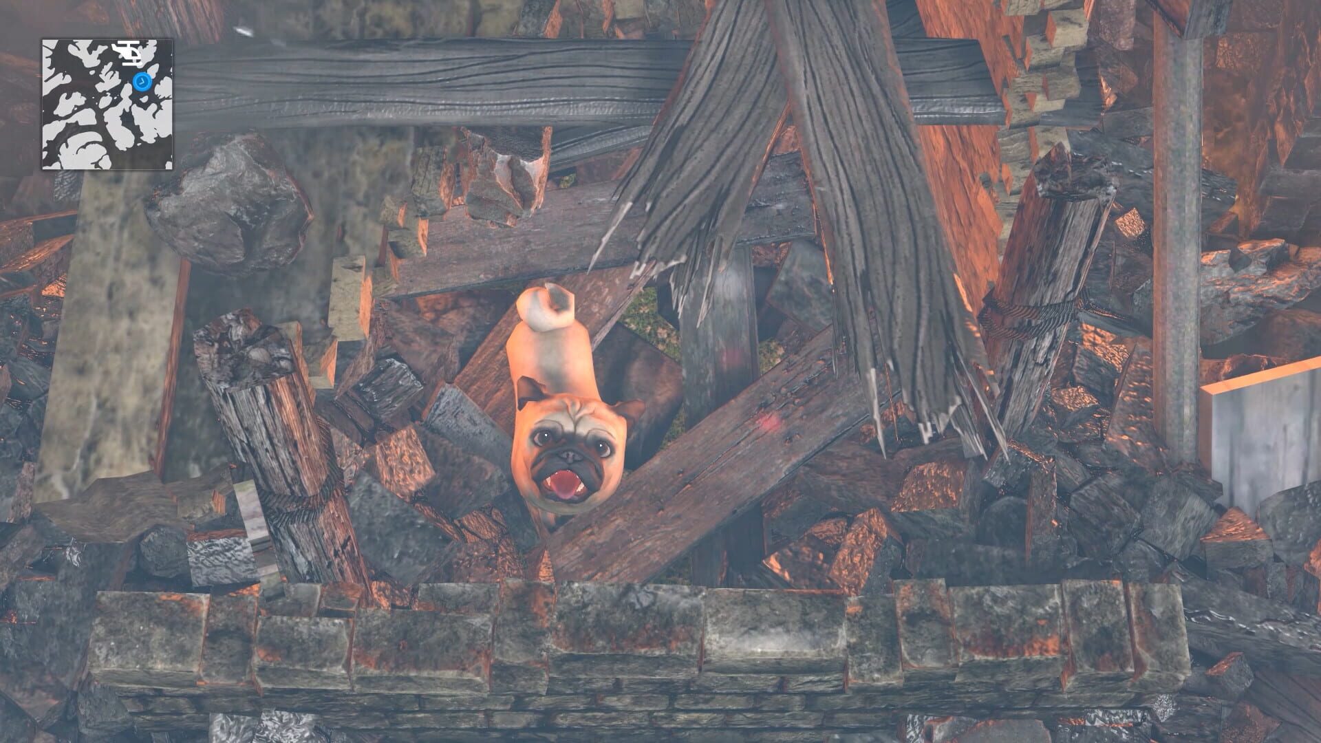 Animal Rescue - Screenshot