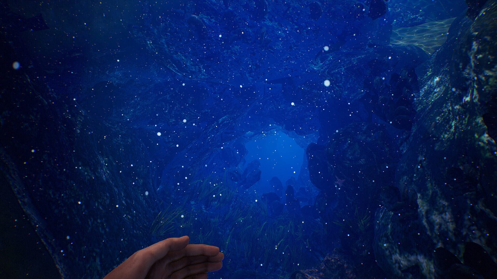 The Deep - Screenshot