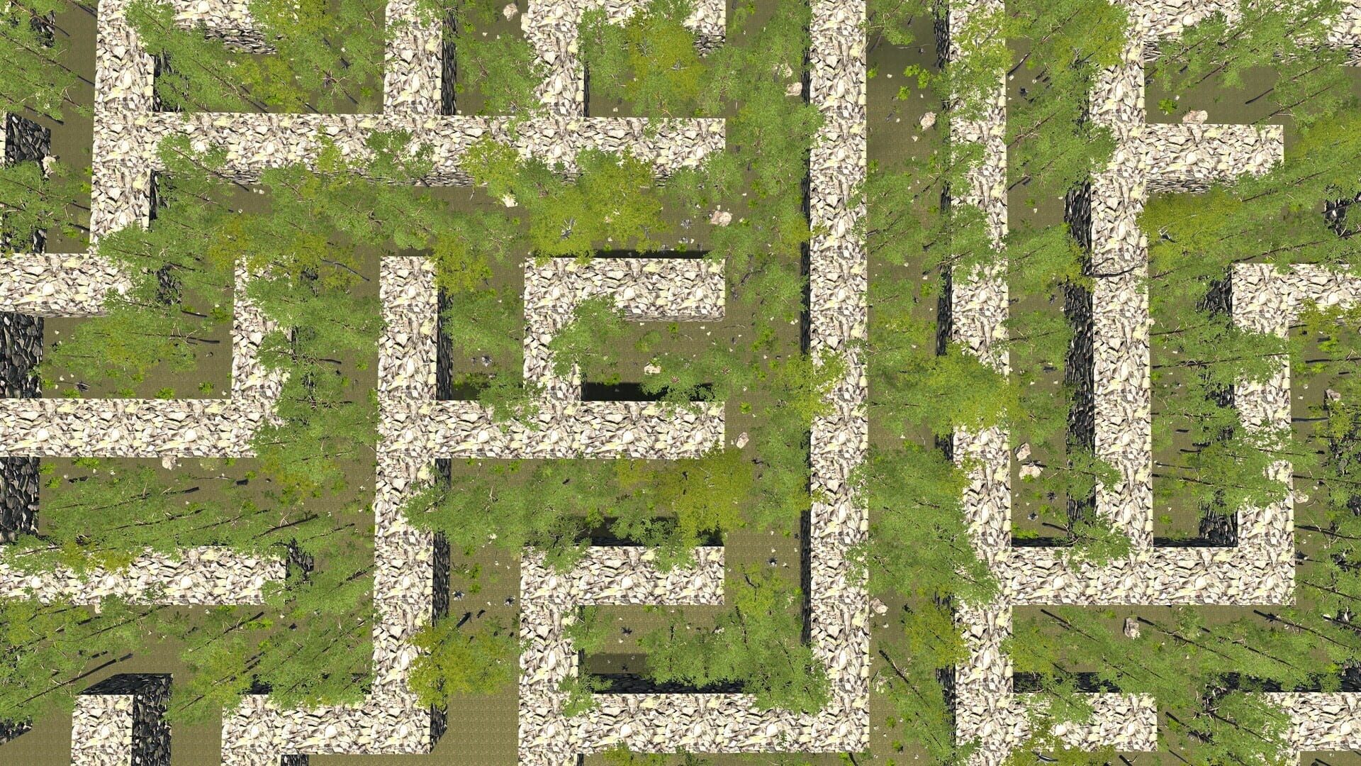 The Maze - Screenshot