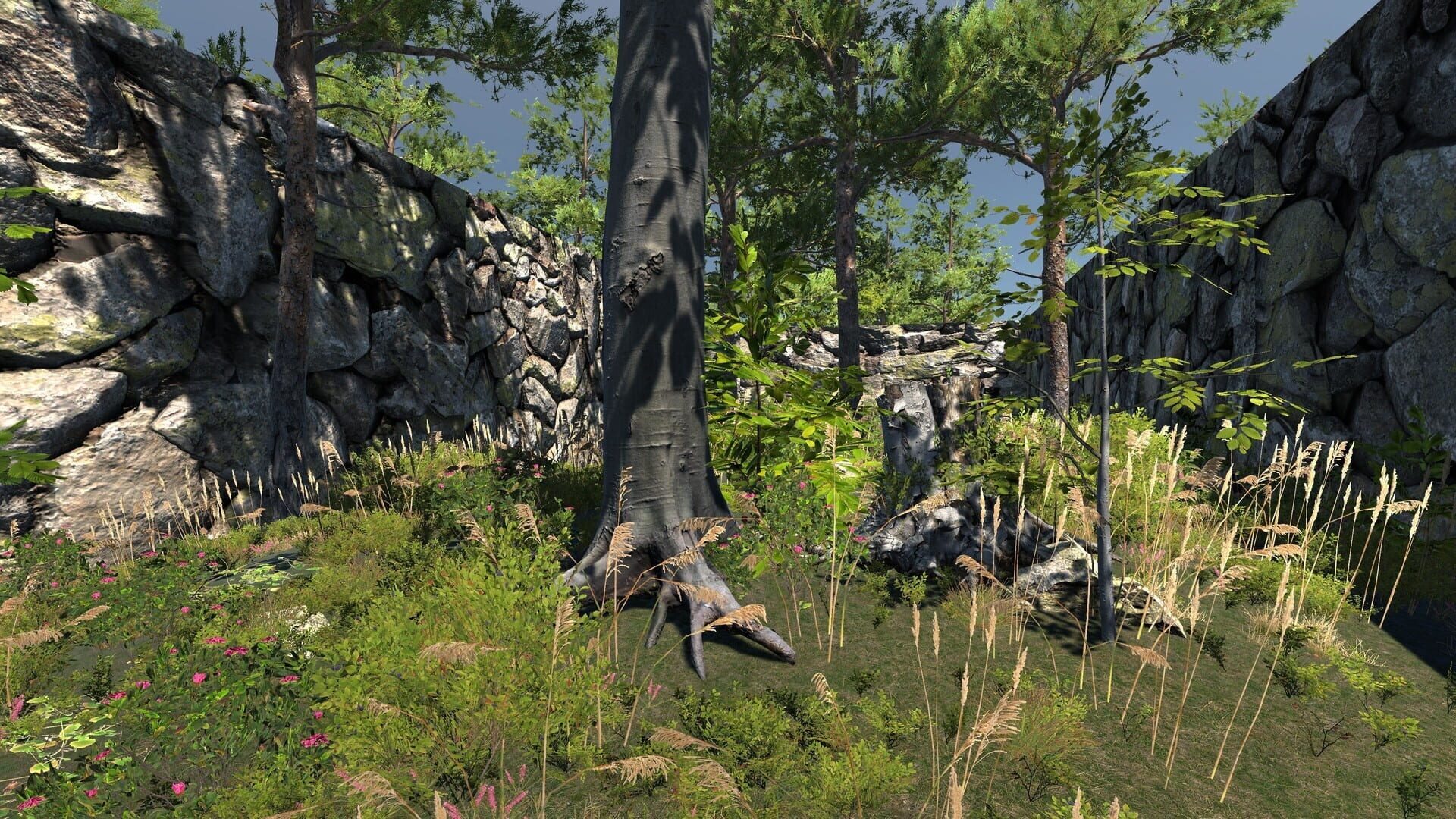 The Maze - Screenshot