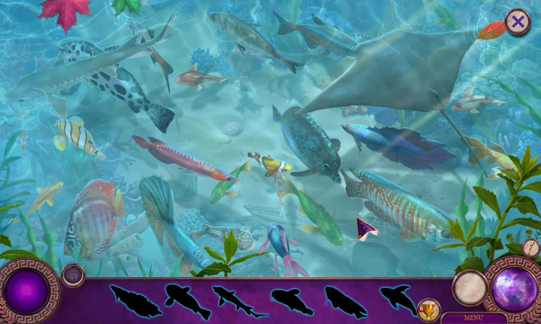 Thumbnail 6