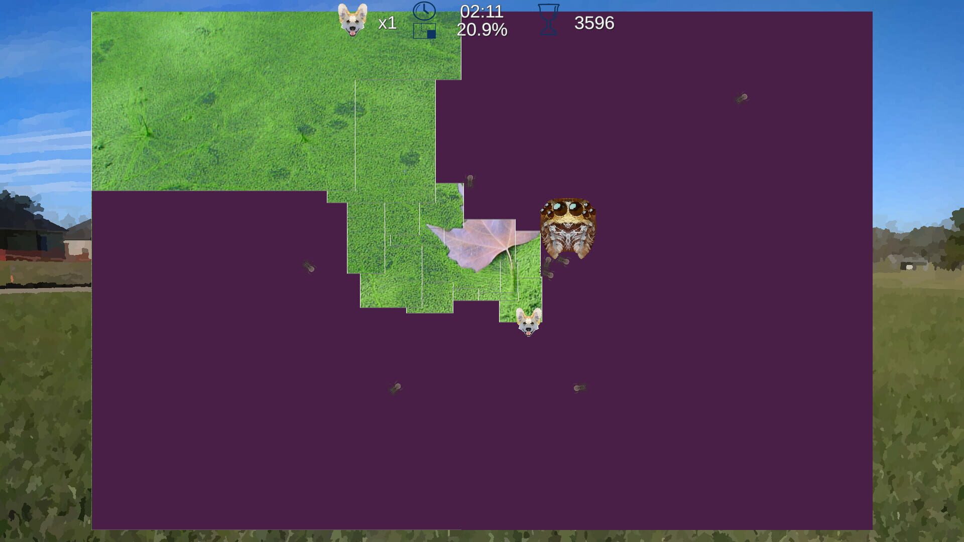 Corgix - Screenshot