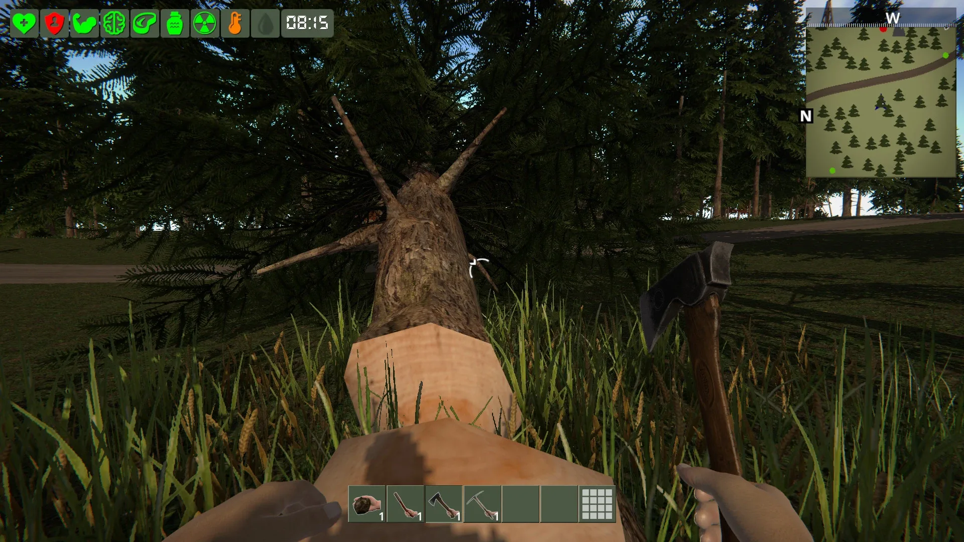 Thumbnail 2