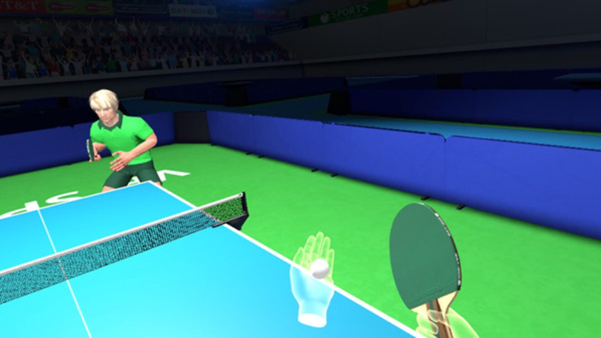 VR Super Sports: Table Tennis - Screenshot