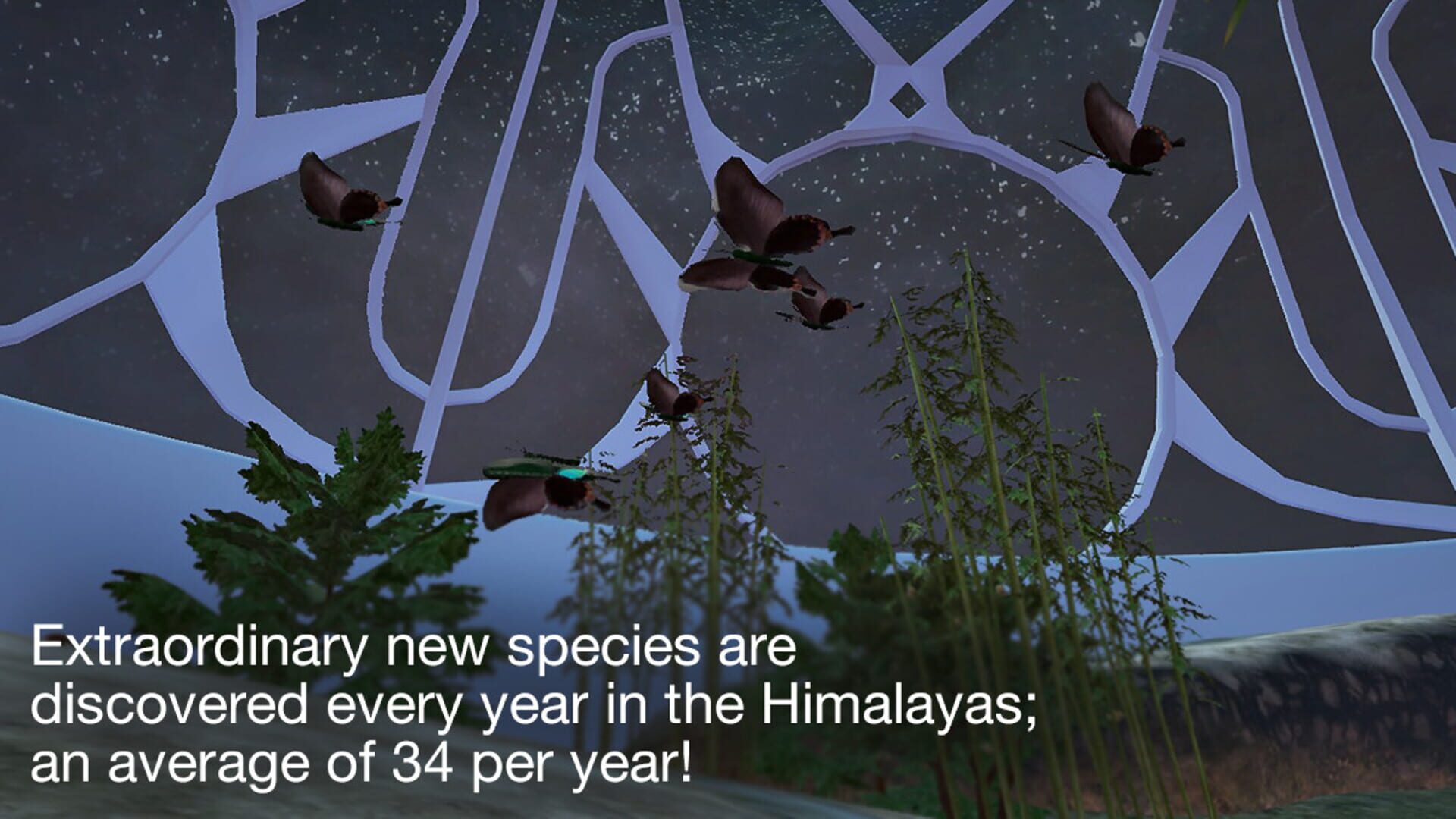 Tyto Ecology: Himalayas Ecosystem - Screenshot