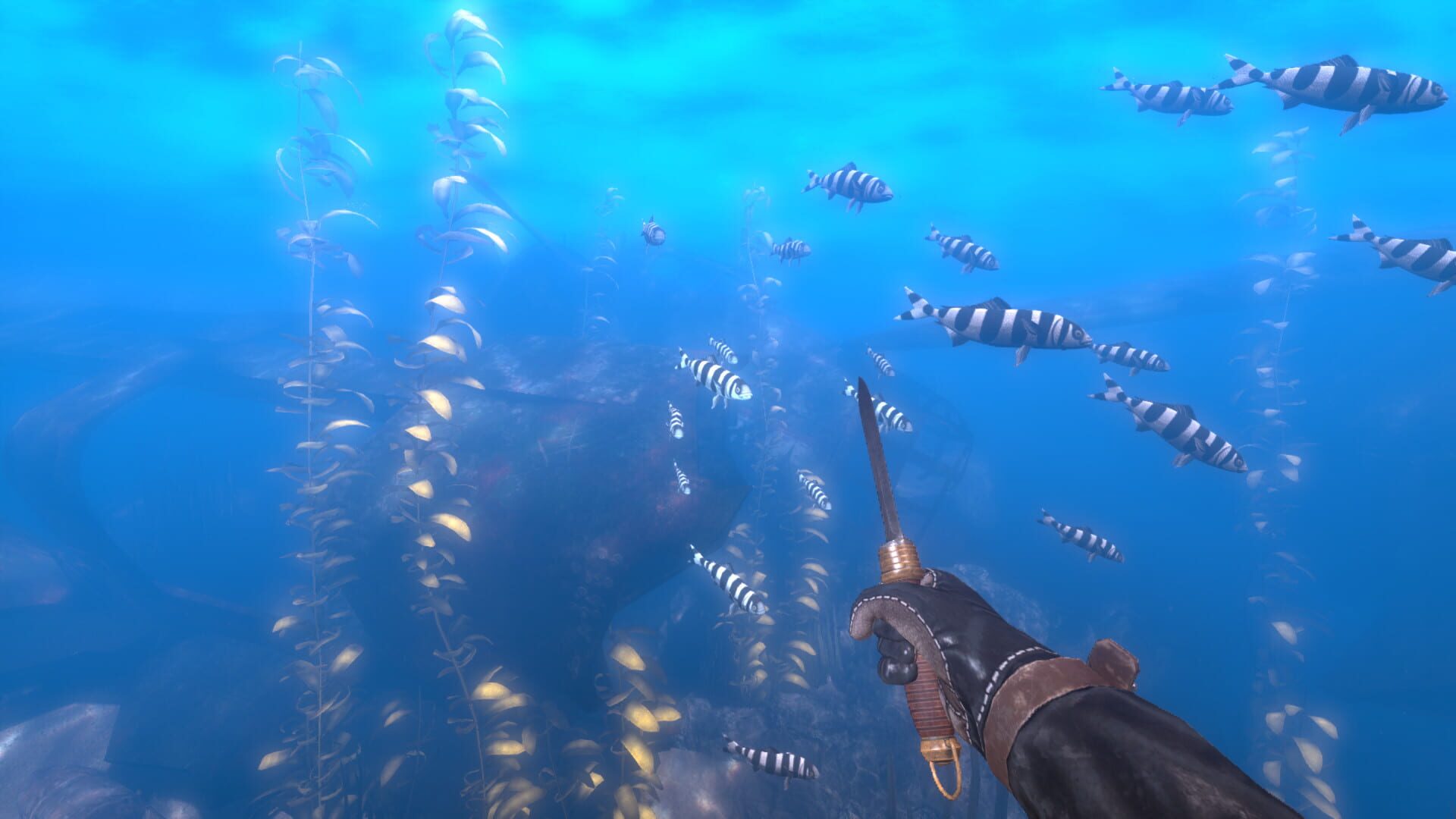 Depth: Wilhelm Diver - Screenshot