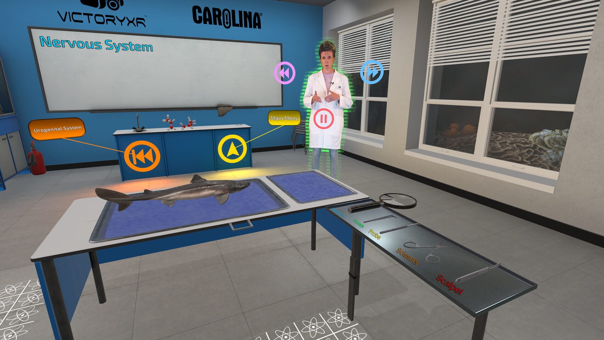 Dissection Simulator: Dogfish Edition - Screenshot