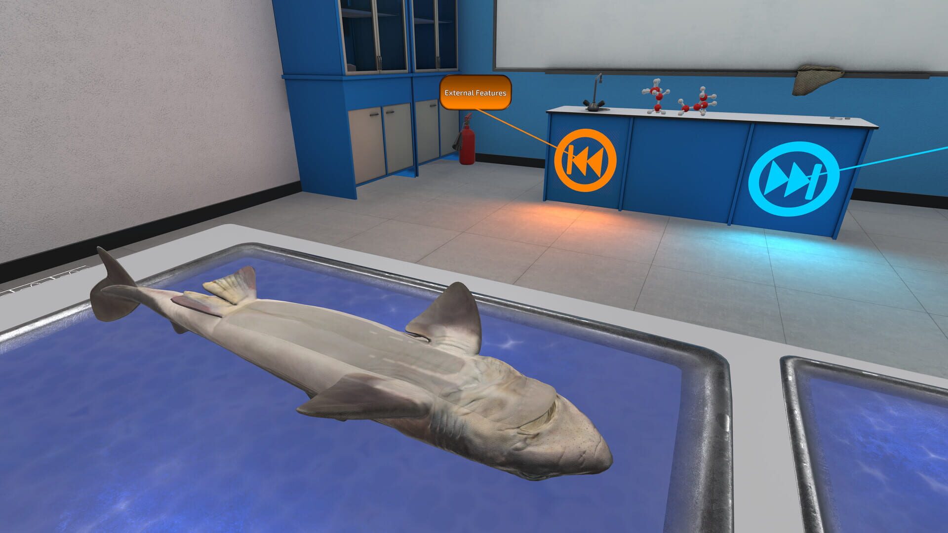Dissection Simulator: Dogfish Edition - Screenshot