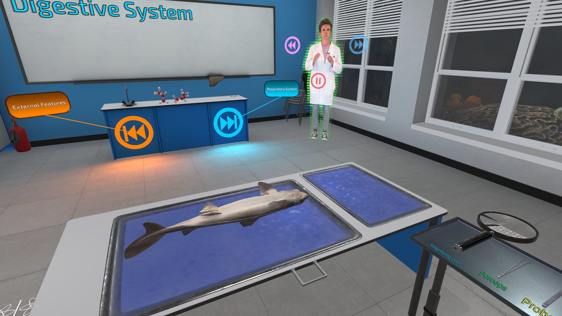 Dissection Simulator: Dogfish Edition - Screenshot