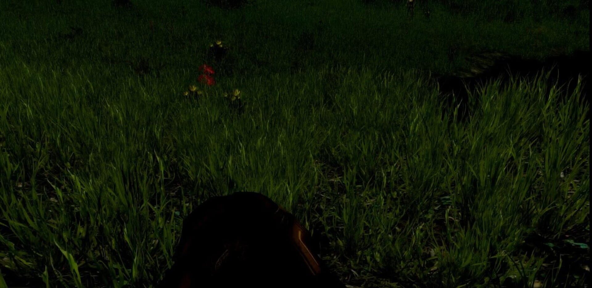 Yellow Brick Road - Screenshot