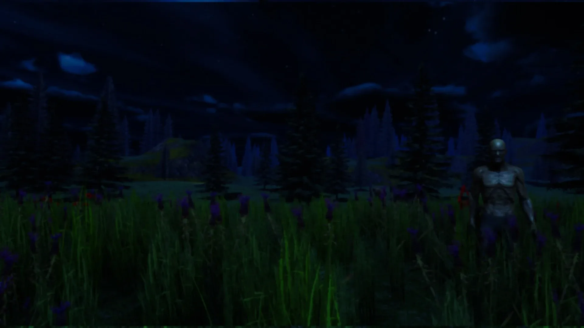Thumbnail 12