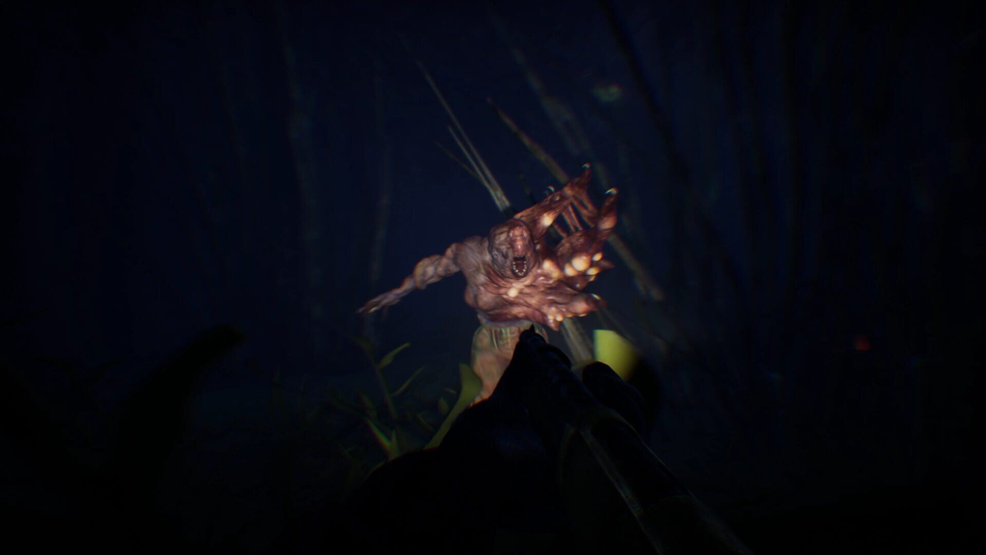 Try to Survive! - Screenshot