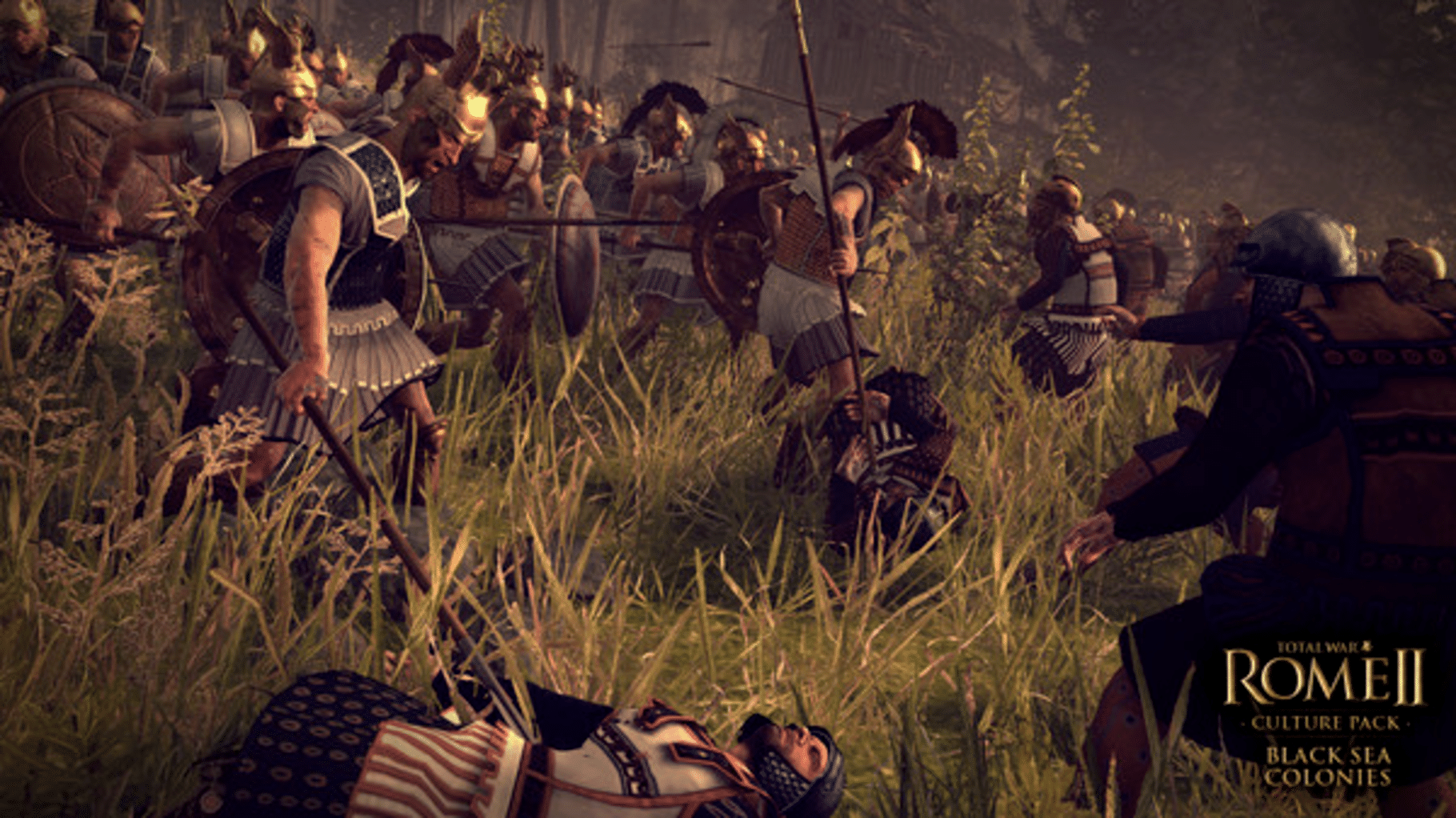 Total War: Rome II - Black Sea Colonies screenshot