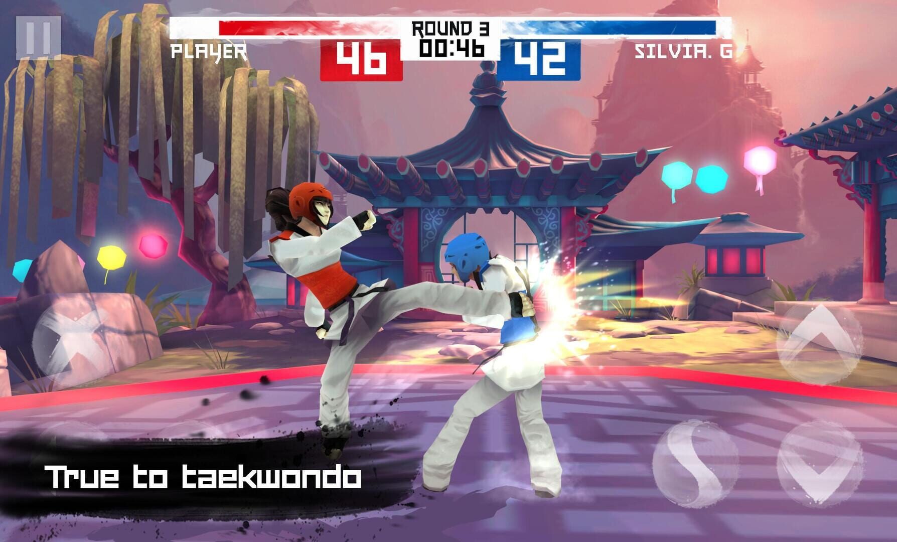 Taekwondo - Screenshot