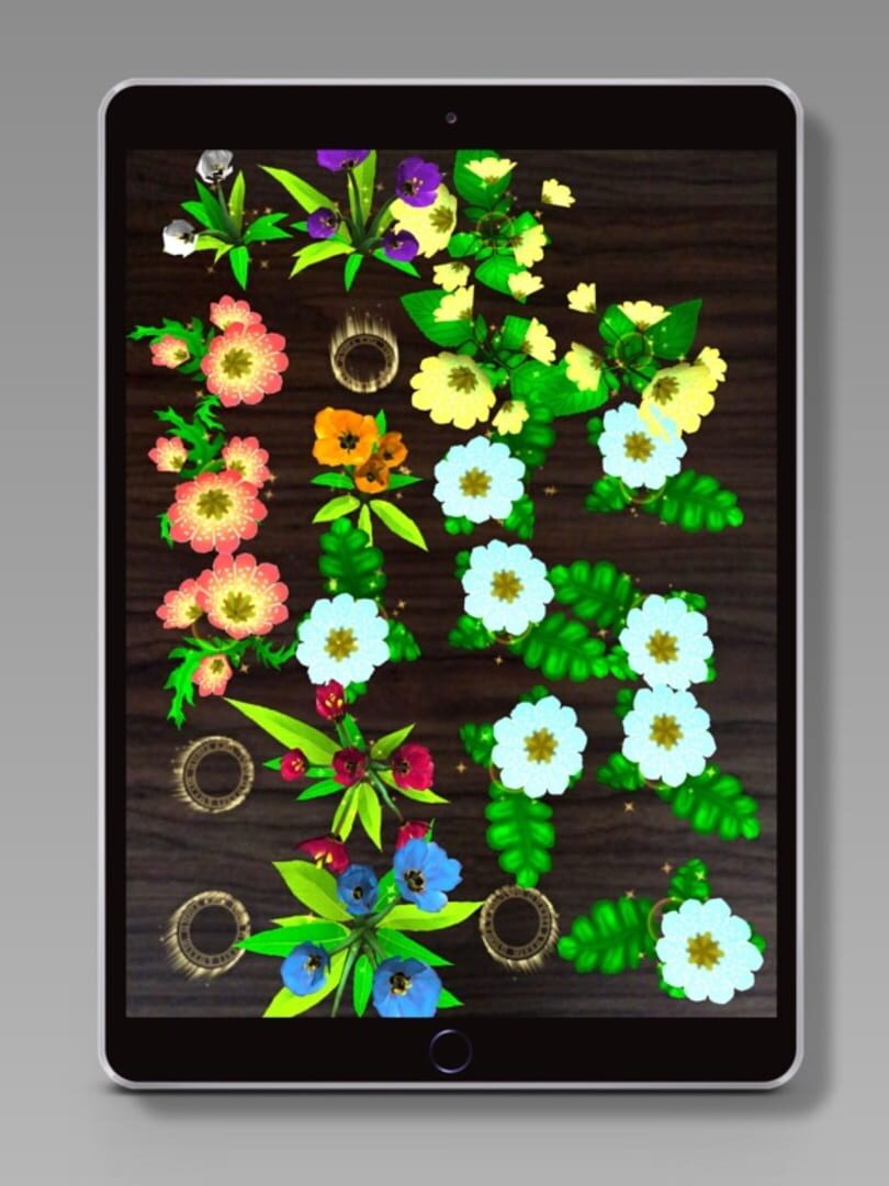 AR Flower - Screenshot