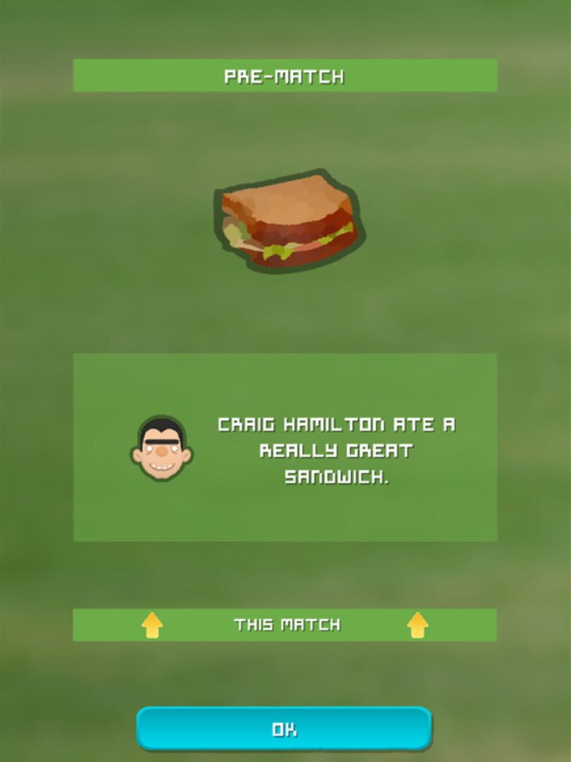 Village Cricket - Screenshot