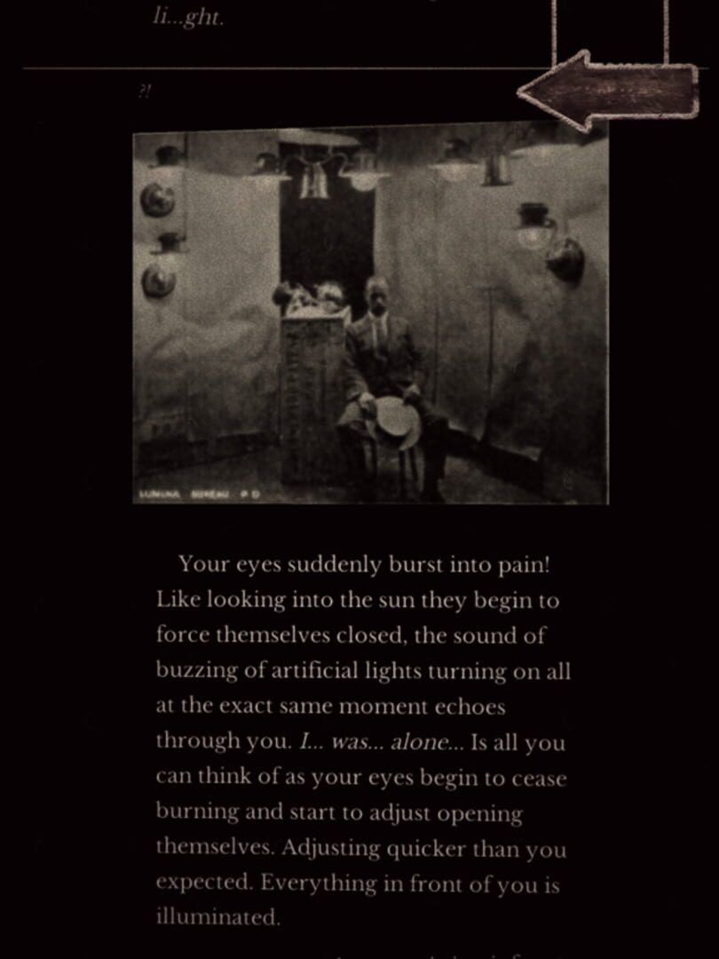 Seul Alone: The Entrée - Cyoa - Screenshot