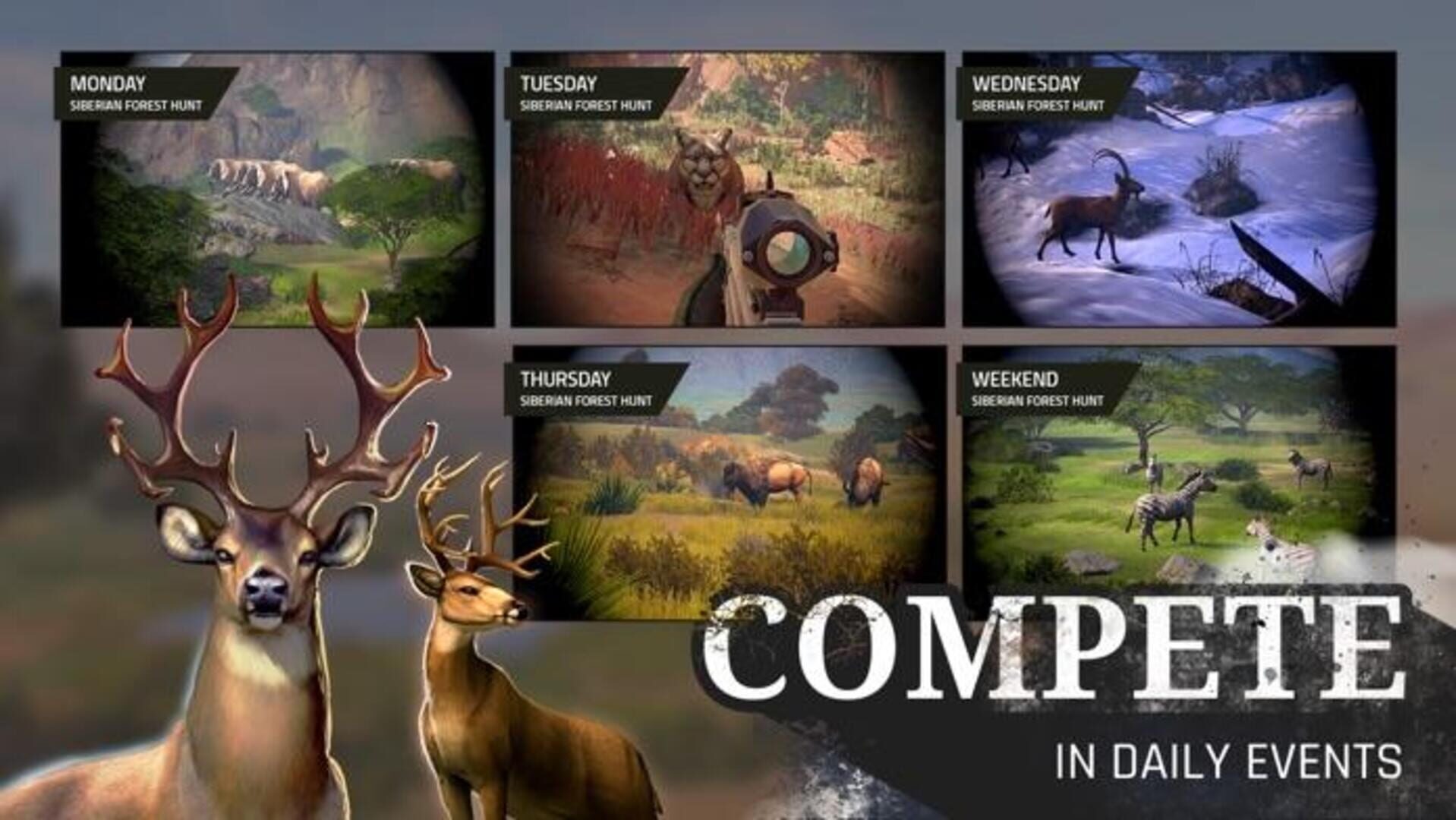 Deer Hunter World: The Hunt - Screenshot