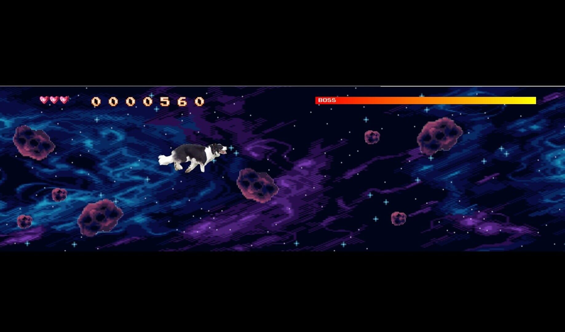 BorderCollie Blaster - Screenshot