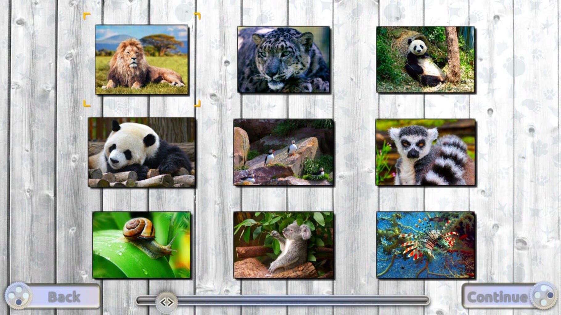 Jigsaw Fun: Amazing Animals screenshot