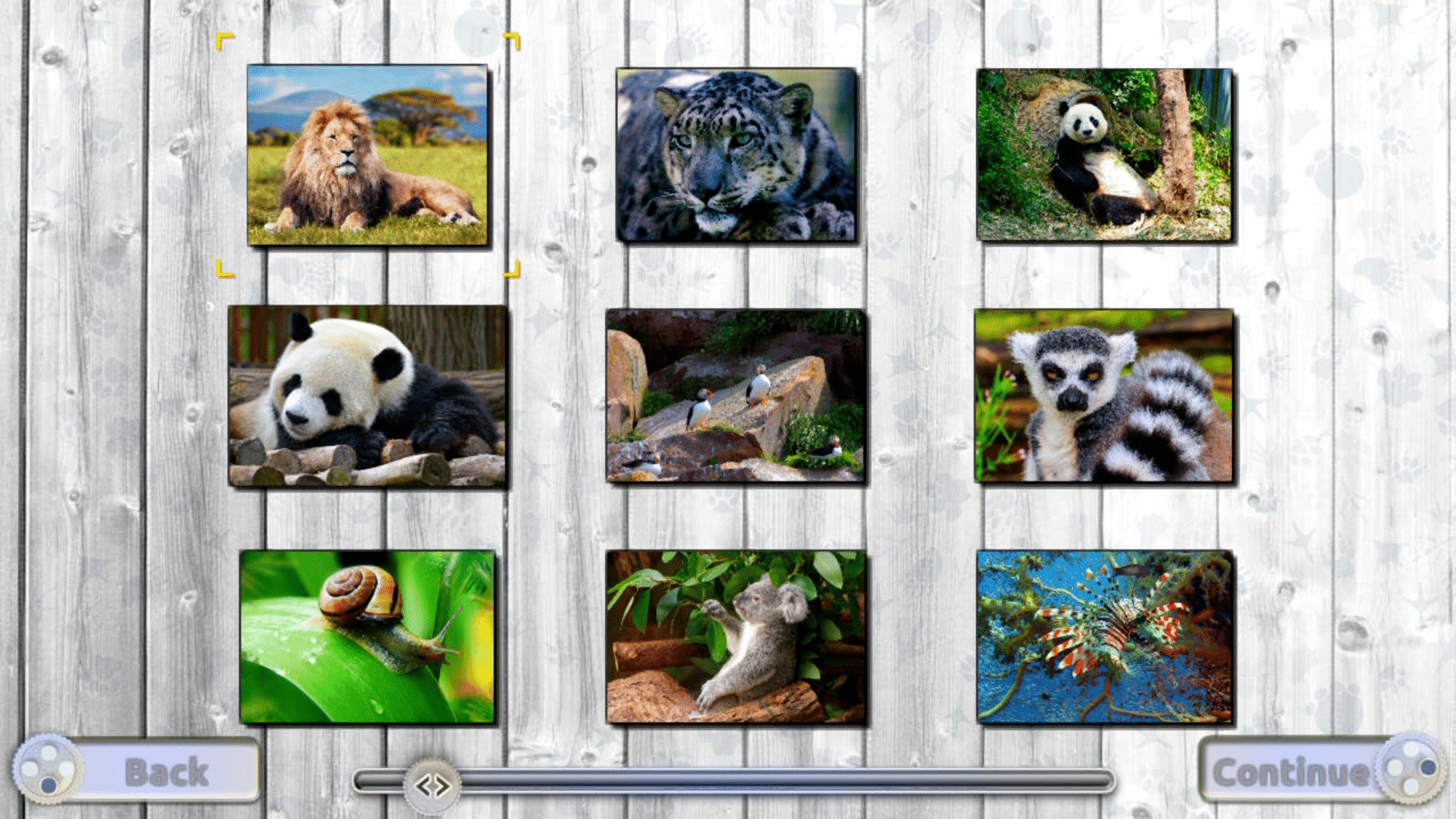 Jigsaw Fun: Amazing Animals screenshot