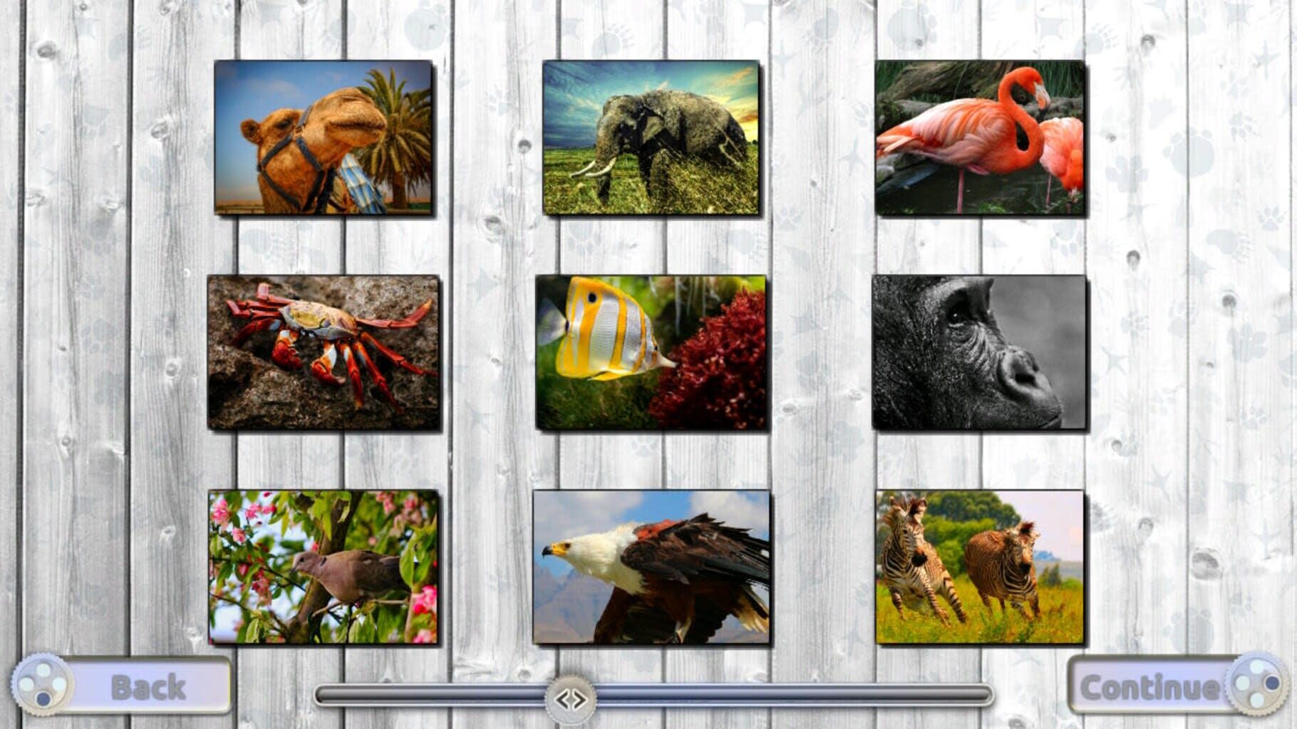 Jigsaw Fun: Amazing Animals screenshot