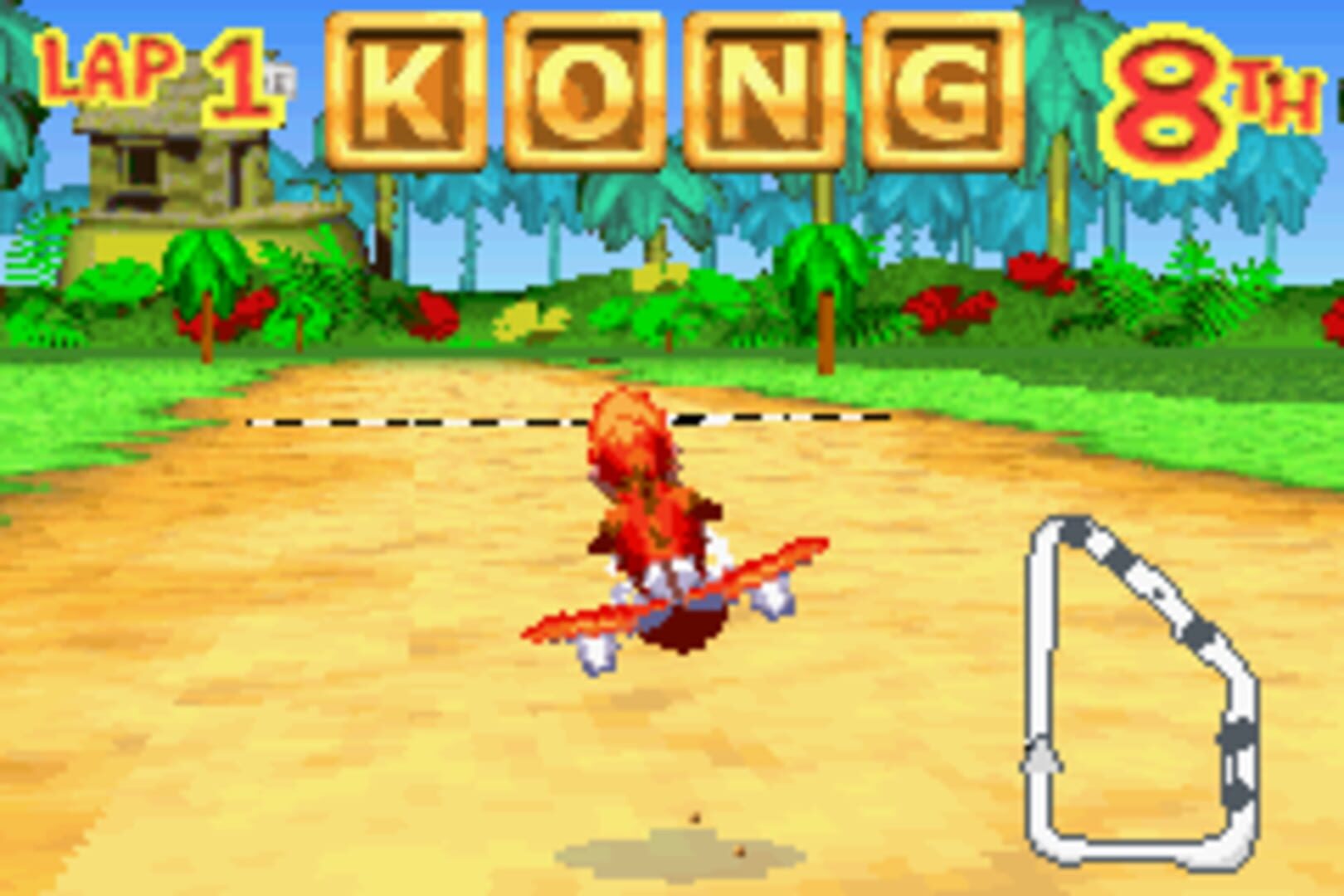 Diddy Kong Pilot