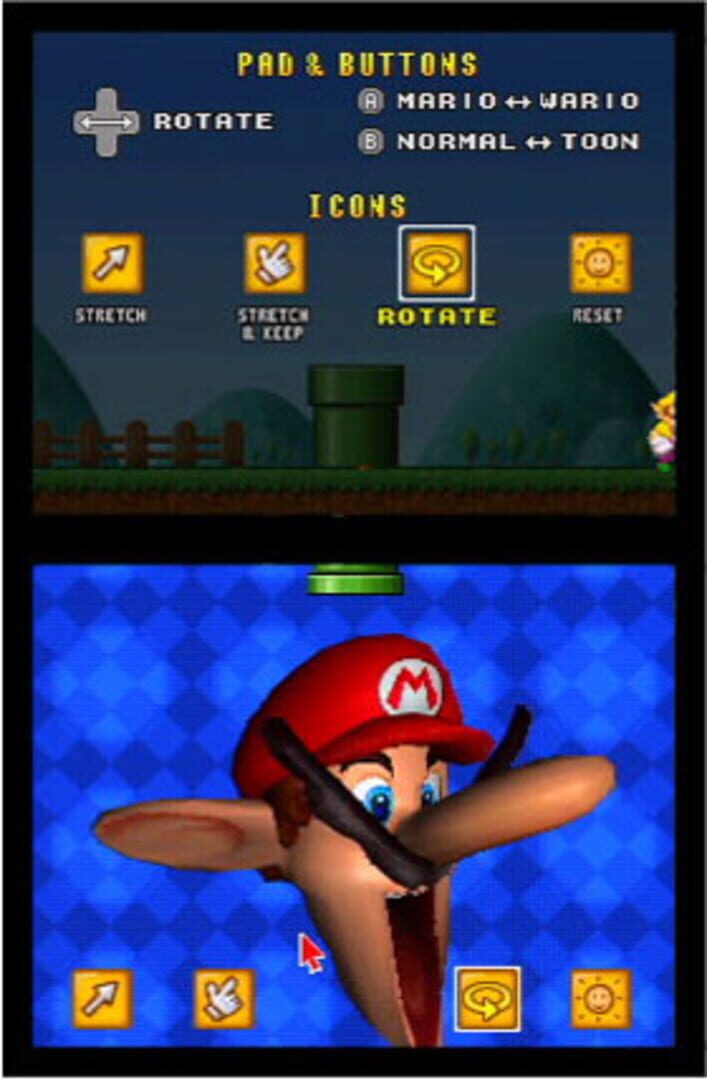 Mario's Face