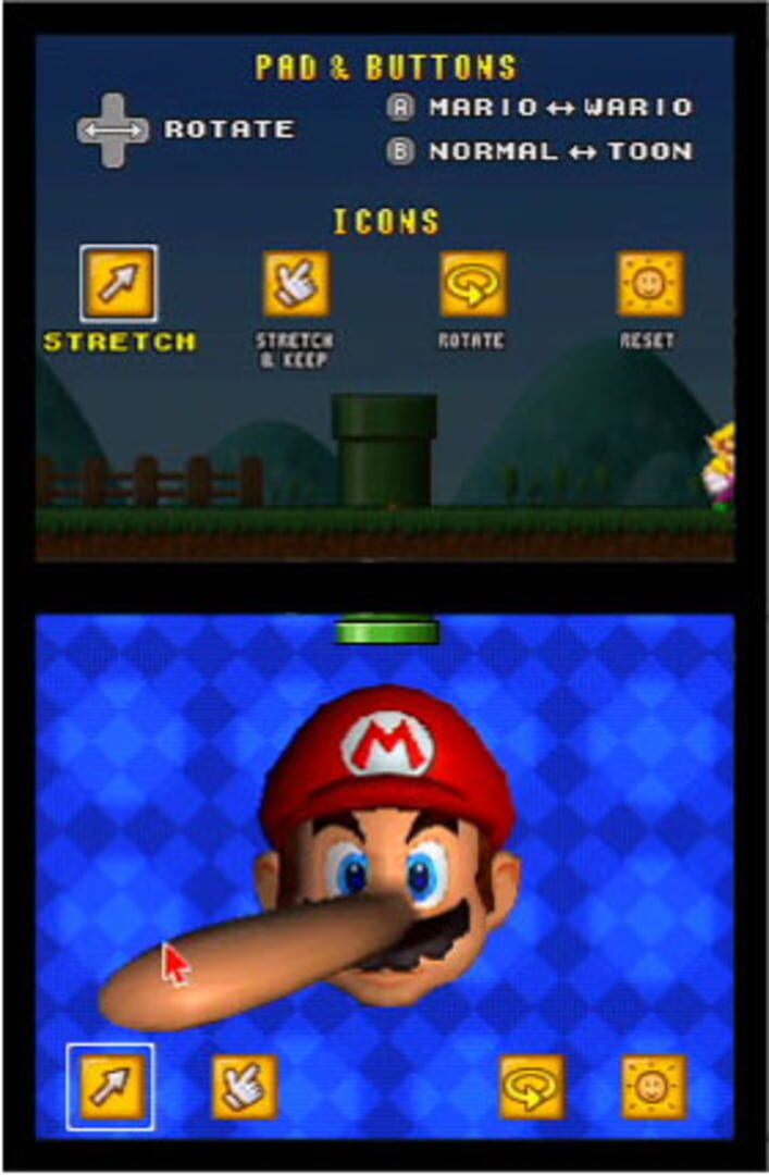 Mario's Face