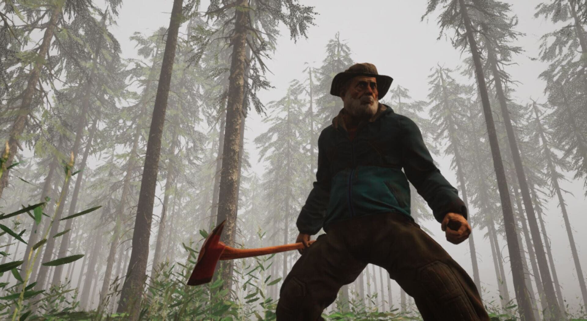 Inhabitants of The Fir Forest - Screenshot