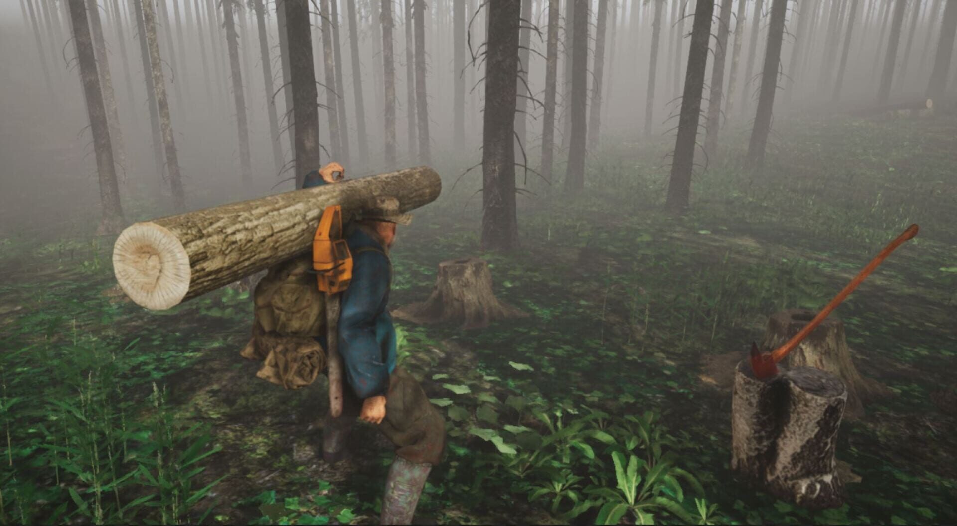 Inhabitants of The Fir Forest - Screenshot