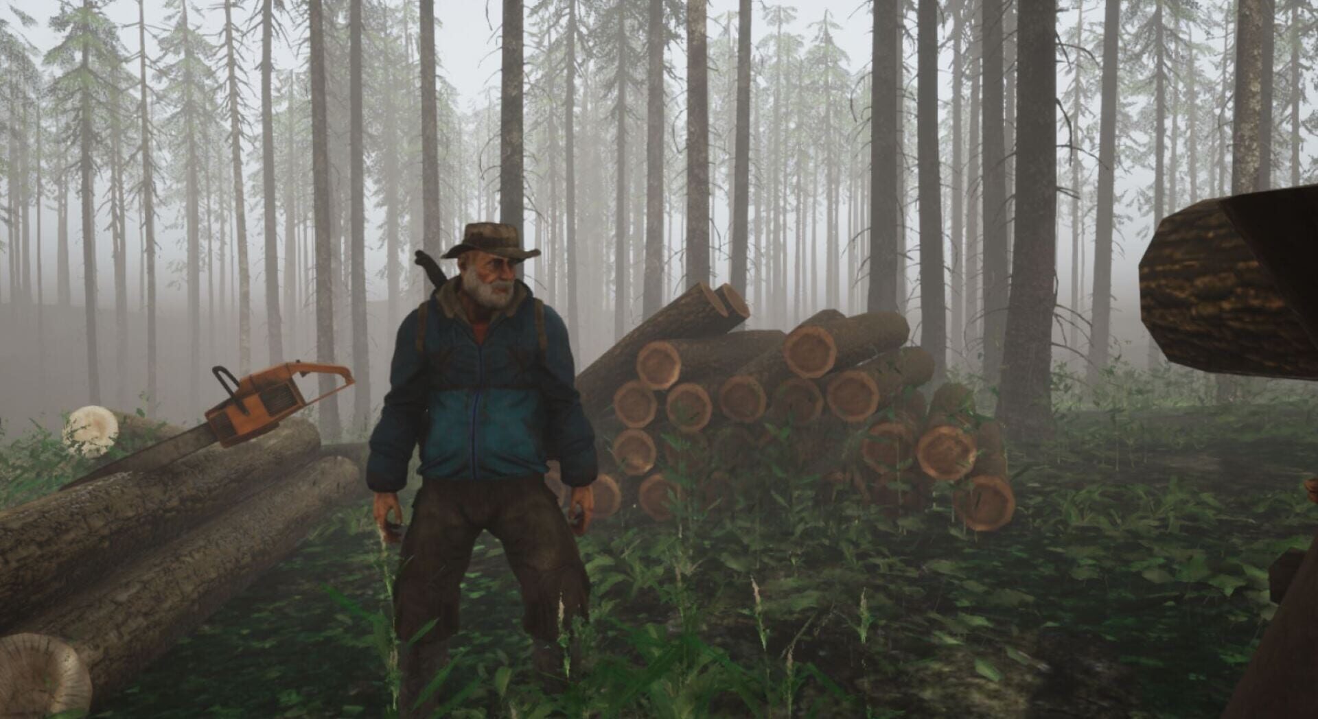 Inhabitants of The Fir Forest - Screenshot