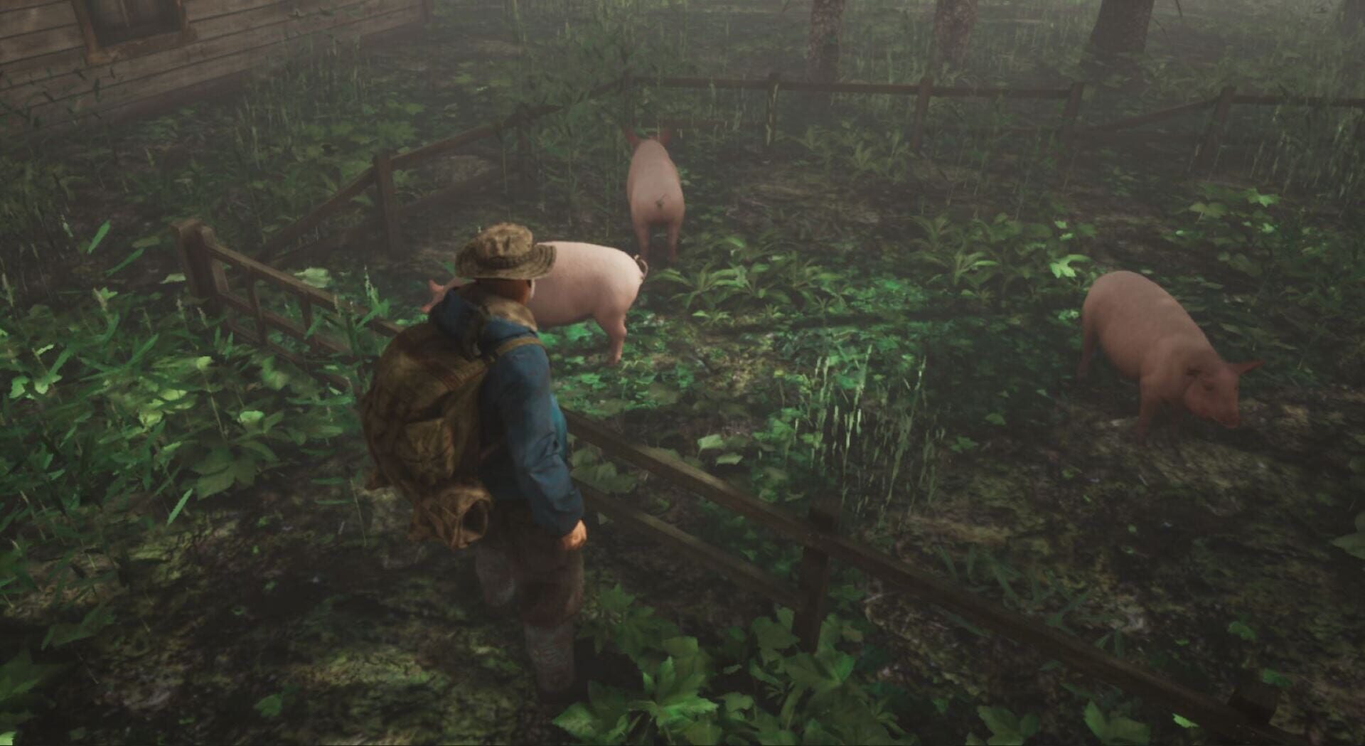 Inhabitants of The Fir Forest - Screenshot