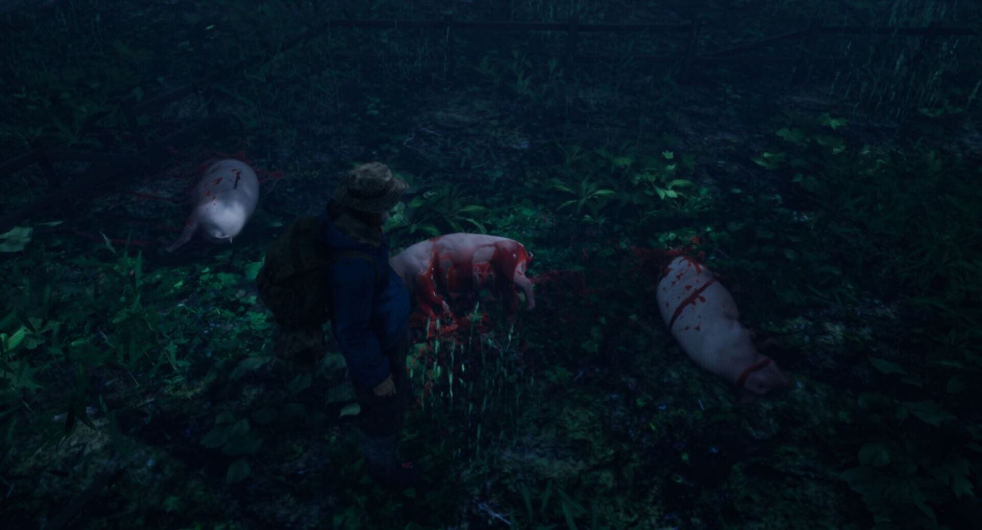 Inhabitants of The Fir Forest - Screenshot