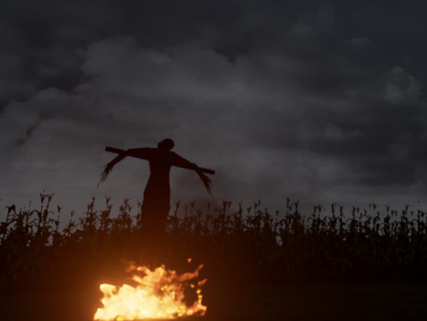 The Field - Screenshot