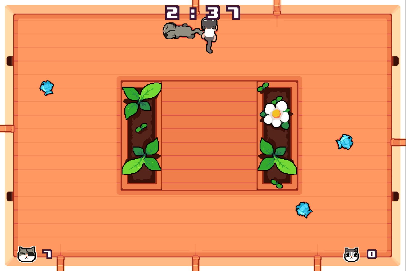 Snacats - Screenshot