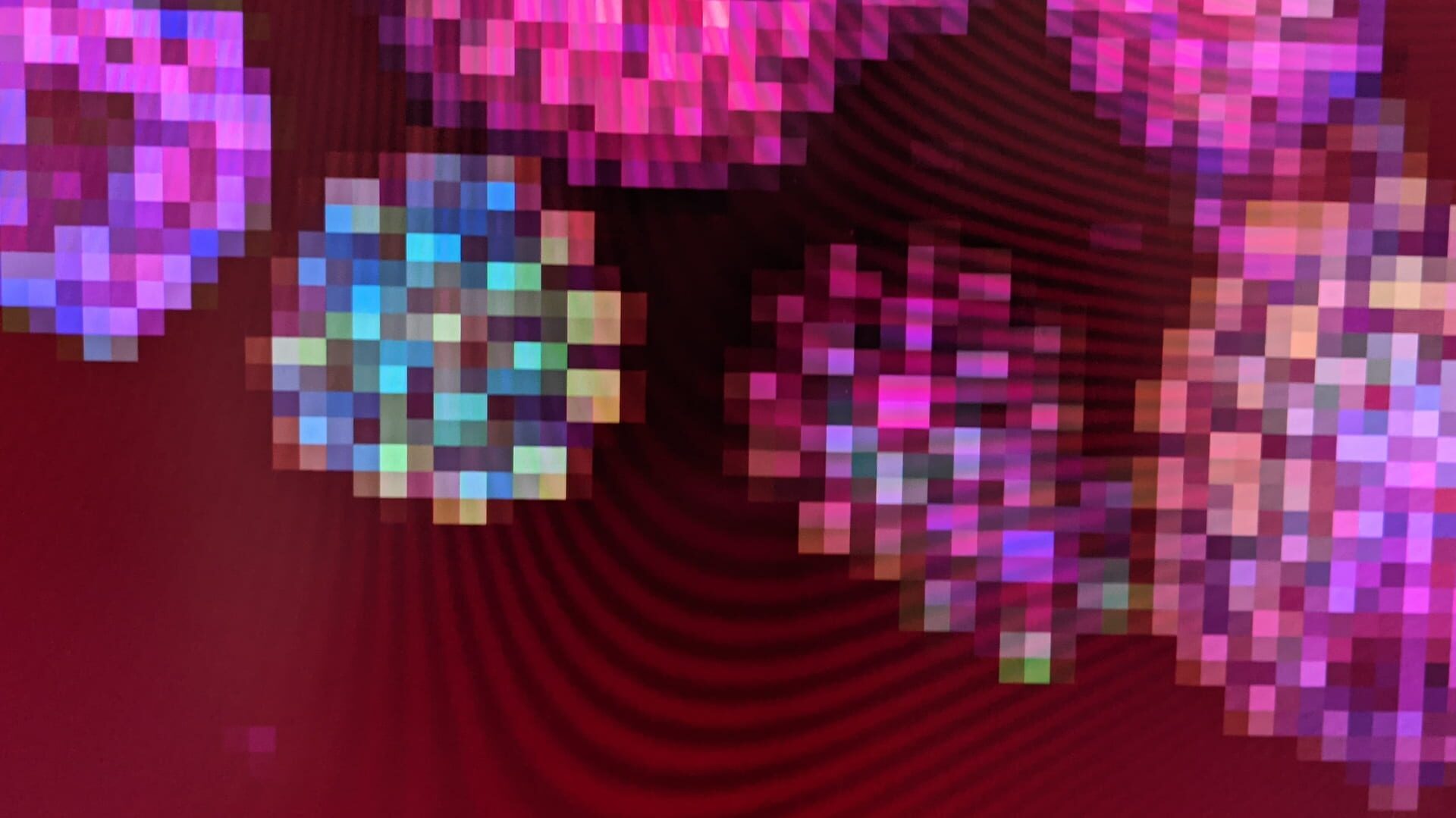 The worm game - Screenshot