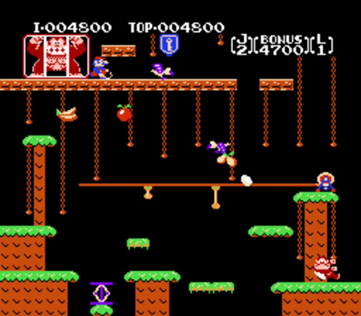 Captura de pantalla - Donkey Kong Jr.