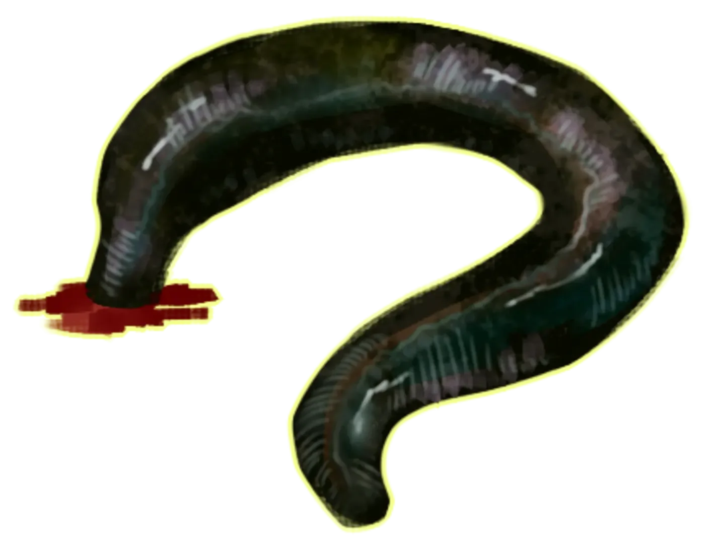 Thumbnail 8