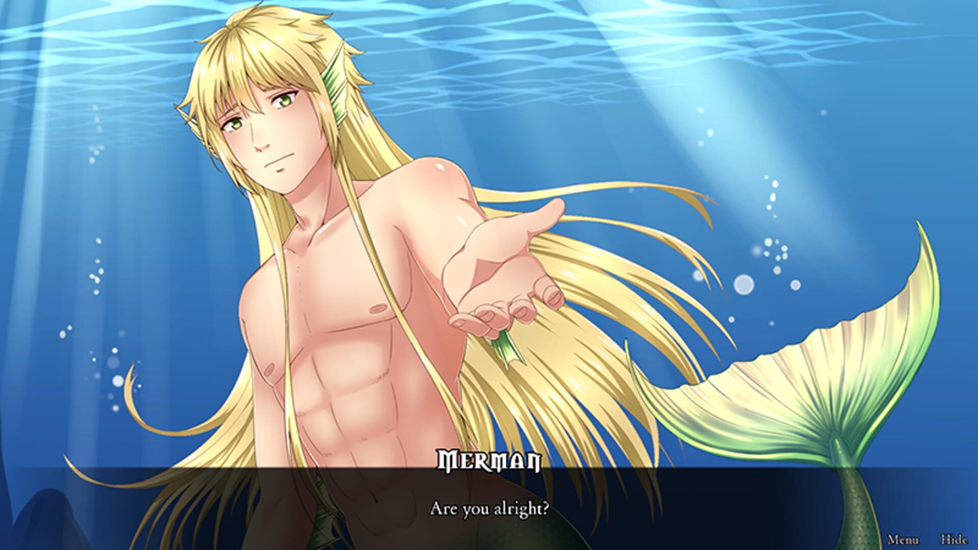 The Pirate Mermaid - Screenshot