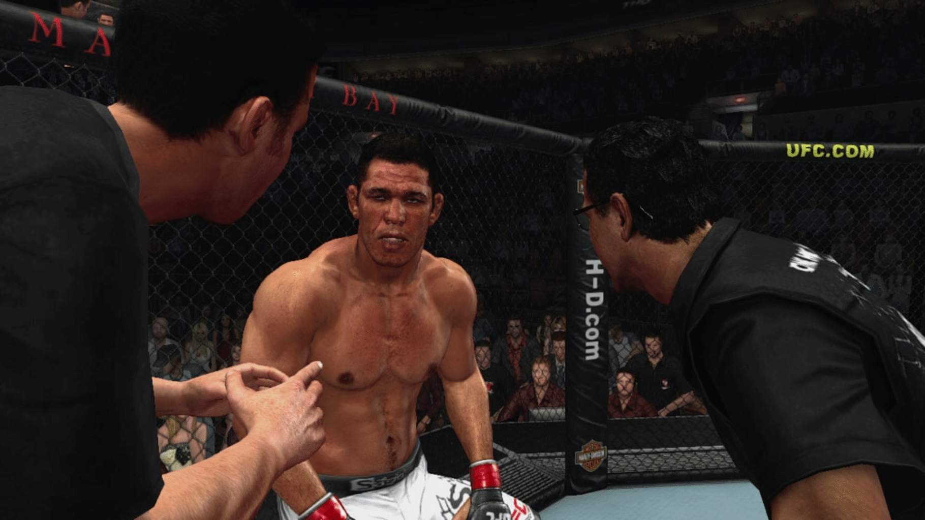 UFC 2009 Undisputed screenshot