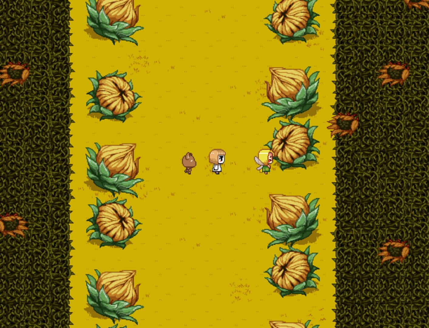 Qui Domi - Screenshot